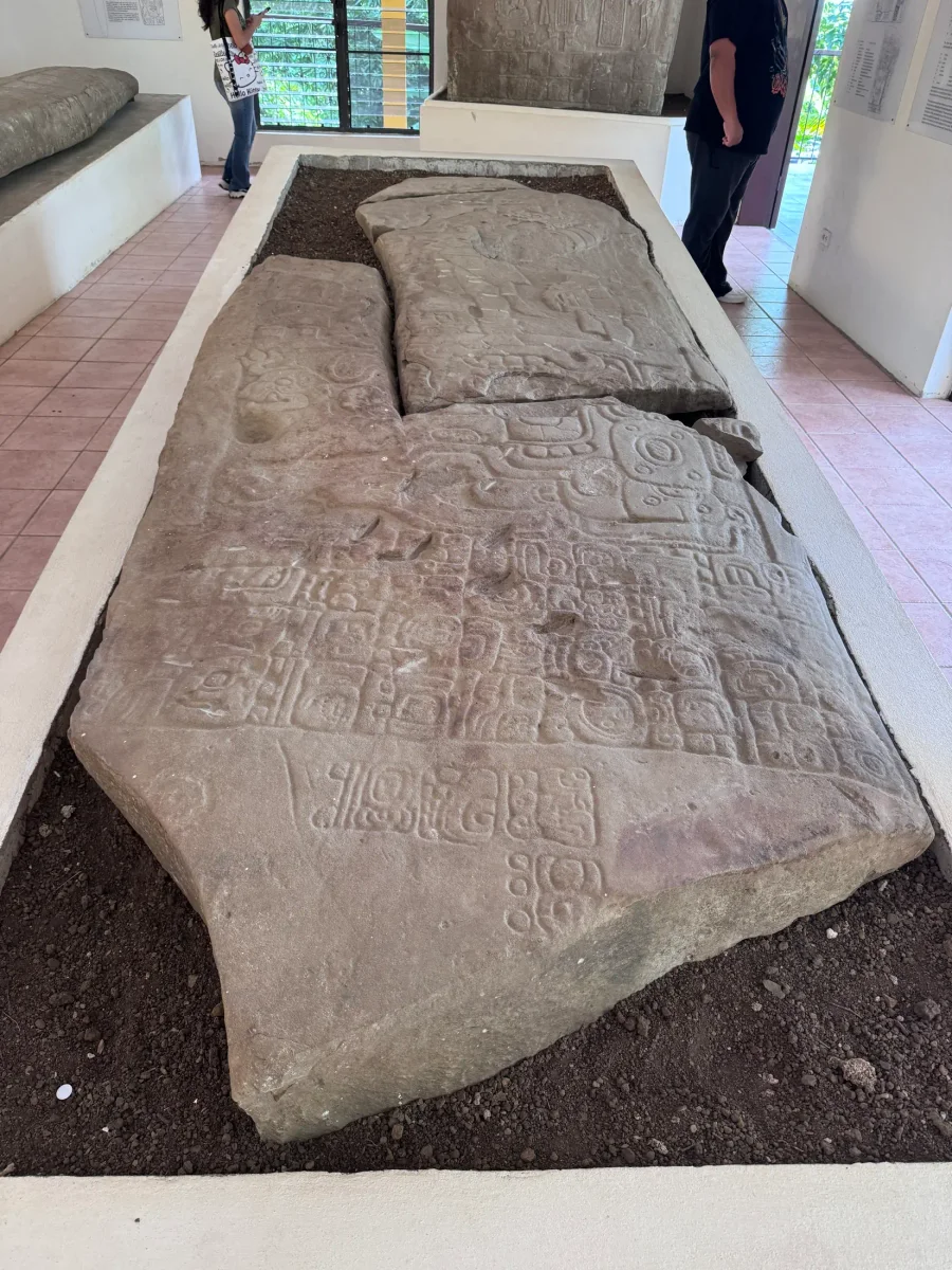 Nim Li Punit Stelae Display